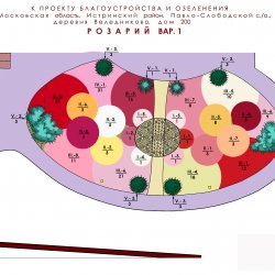 Проект участка - план розария вариант 1